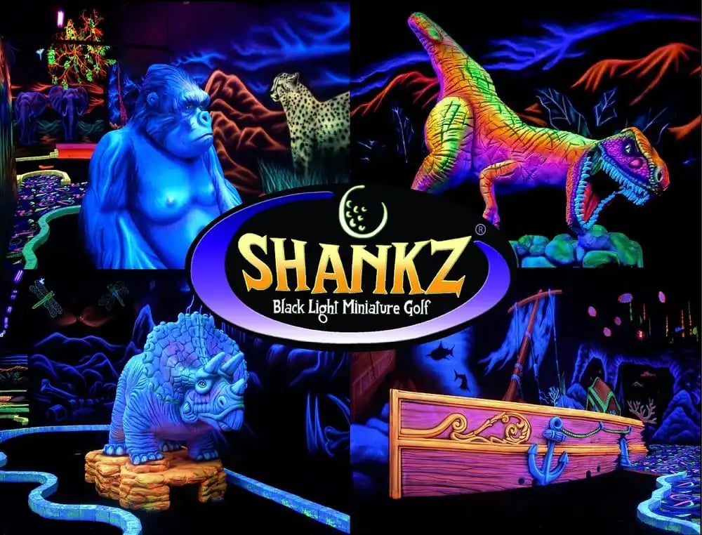 Shankz image