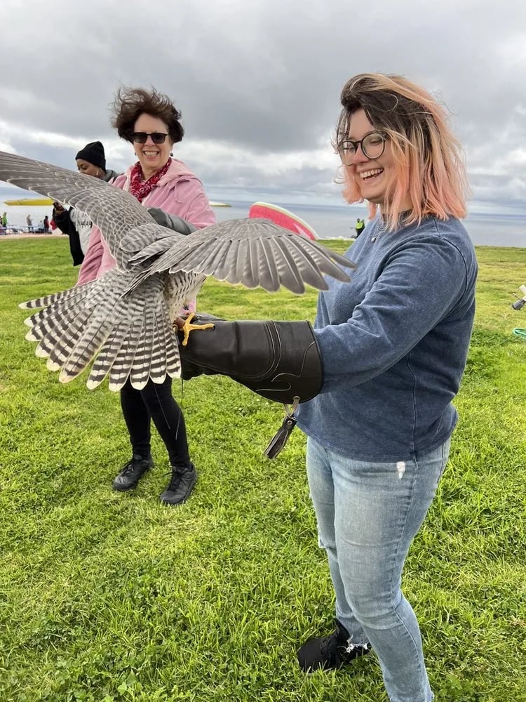 Total Raptor eXperience image