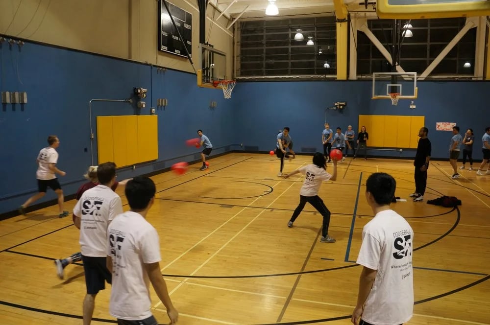 Play in the Bay Sport & Social Club image