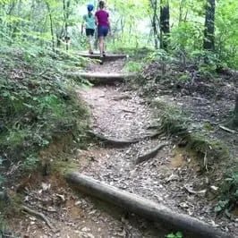 Scavenger Hunt Atlanta image