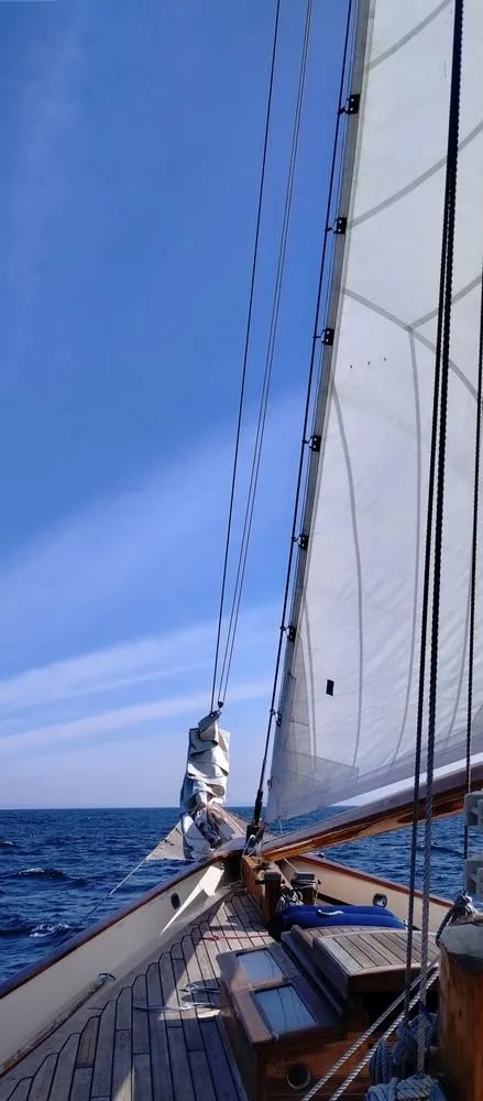 Next Level Sailing image