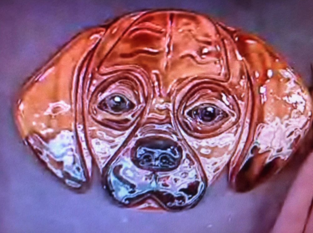 Posh Paint Pottery image