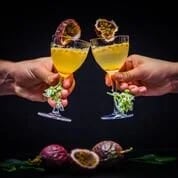 The Natural Mixologist image
