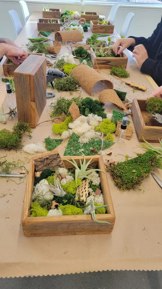Fun With Plants image