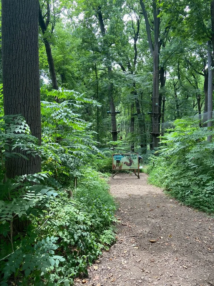 Treetop Quest Philly image