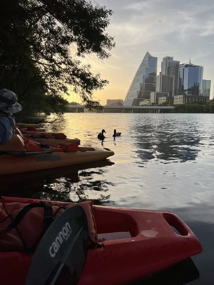 Live Love Paddle image