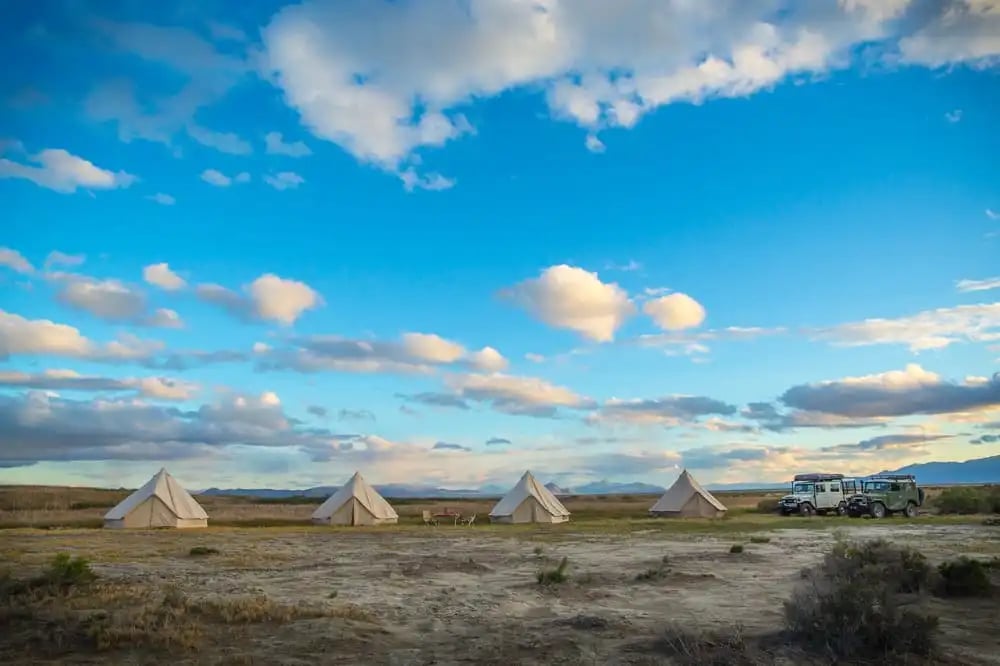 Bay Area Expeditions image