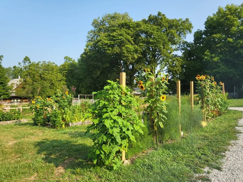 Gorman Heritage Farm image