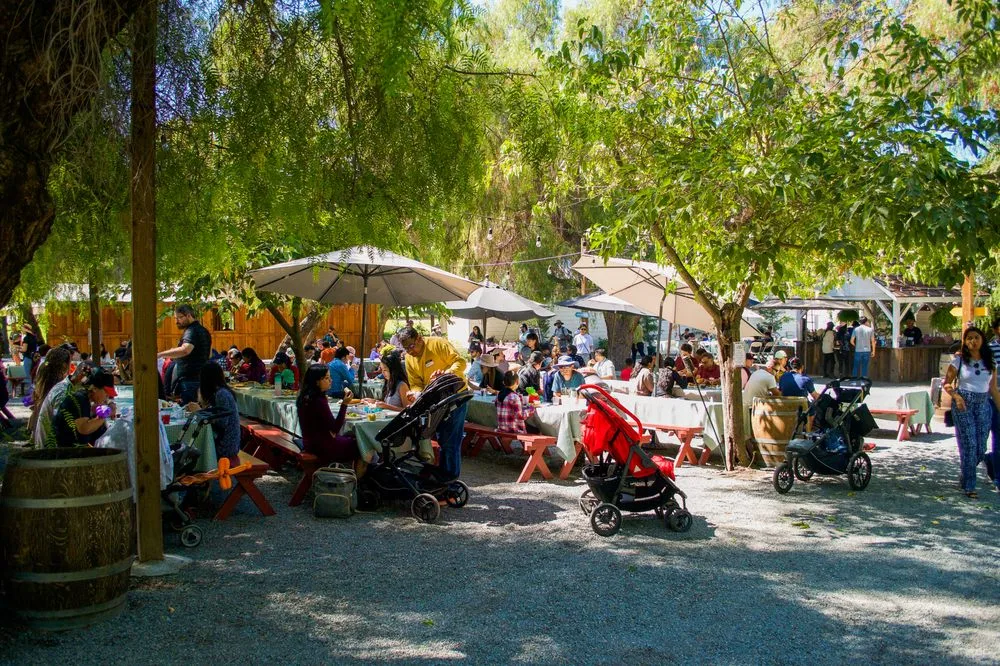 Coyote Ranch image
