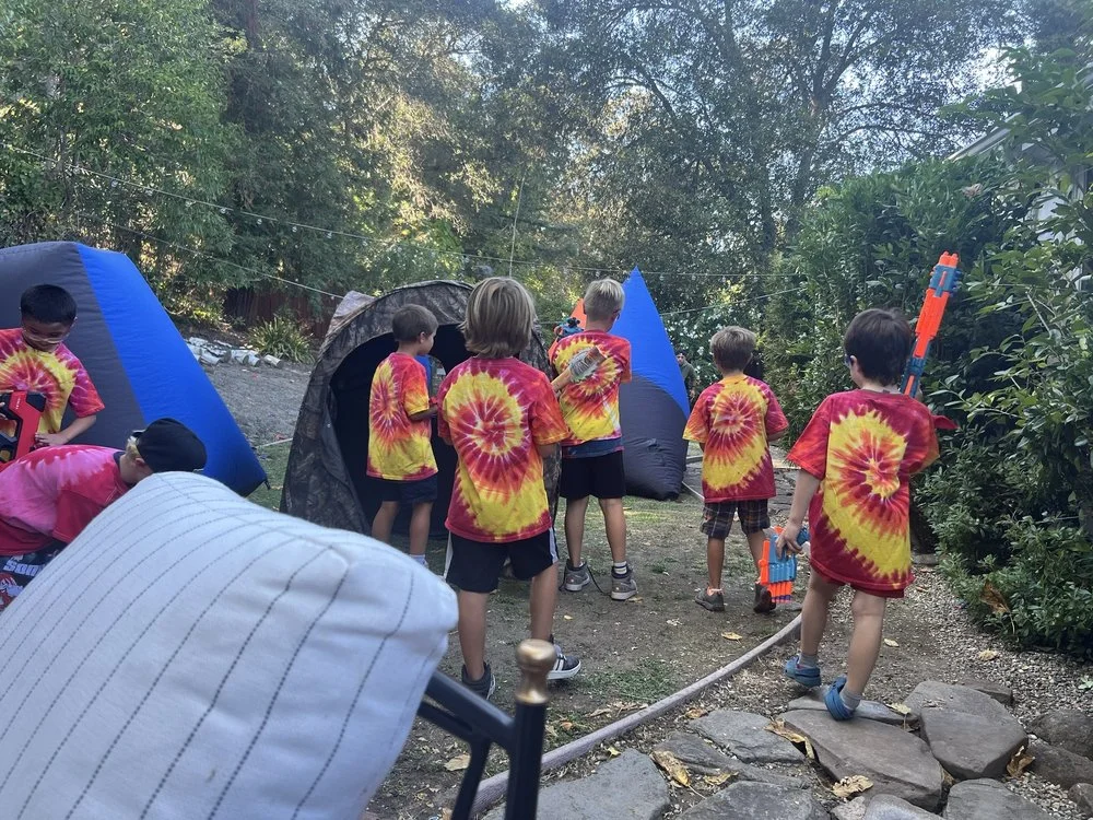 Mobile Nerf Party image