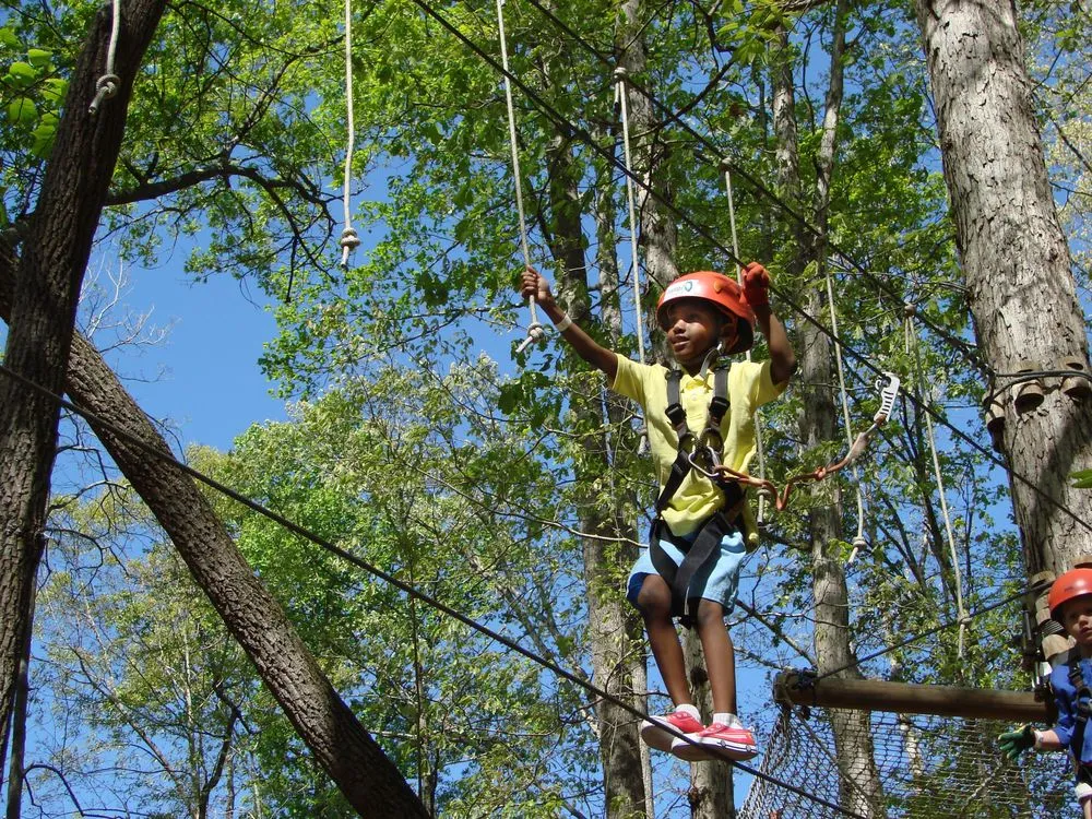 Treetop Quest Philly image