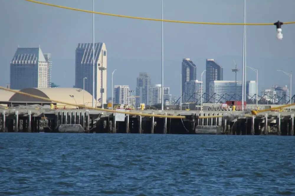 San Diego Seal Tour image