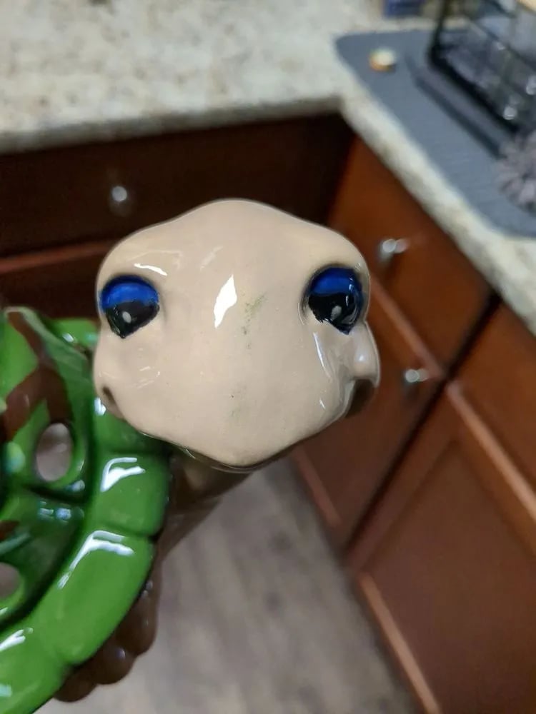 Paint Your Pot image