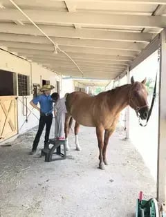 Texas Trail Rides
