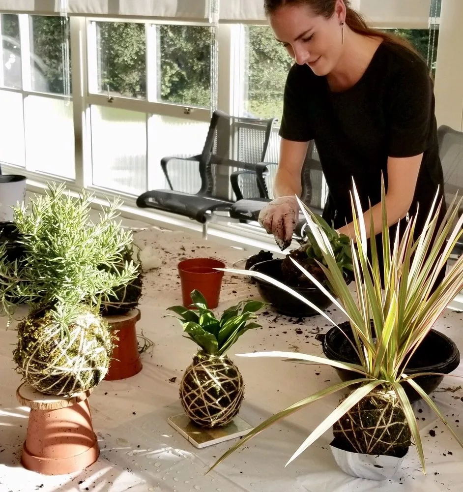 Fun With Plants image