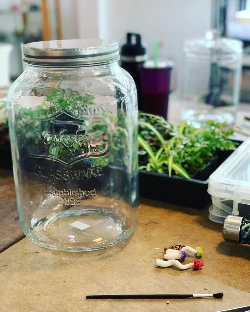 Roosevelt's Terrariums image