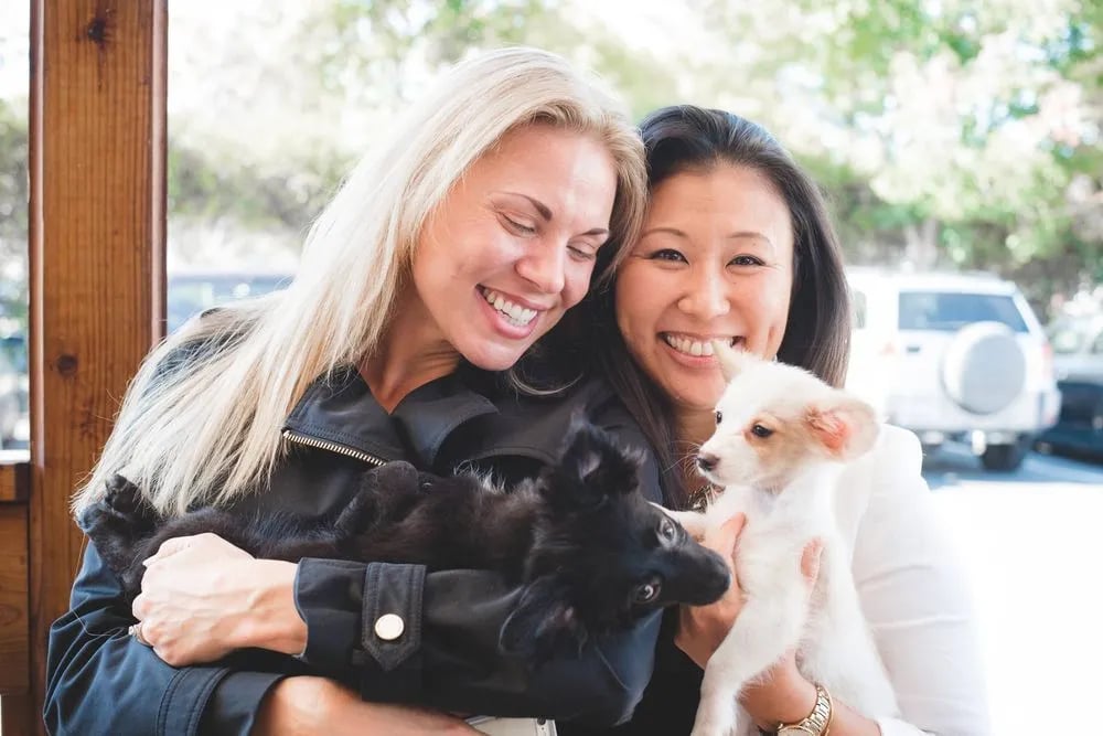 Puppy Love image