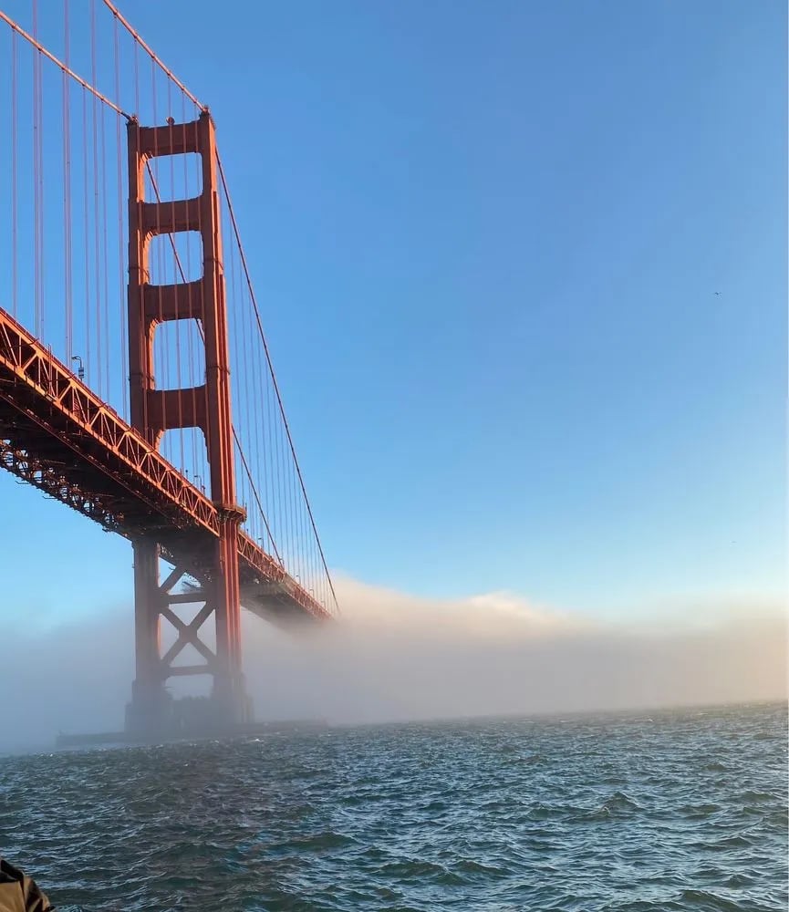San Francisco Bay Boat Cruises image