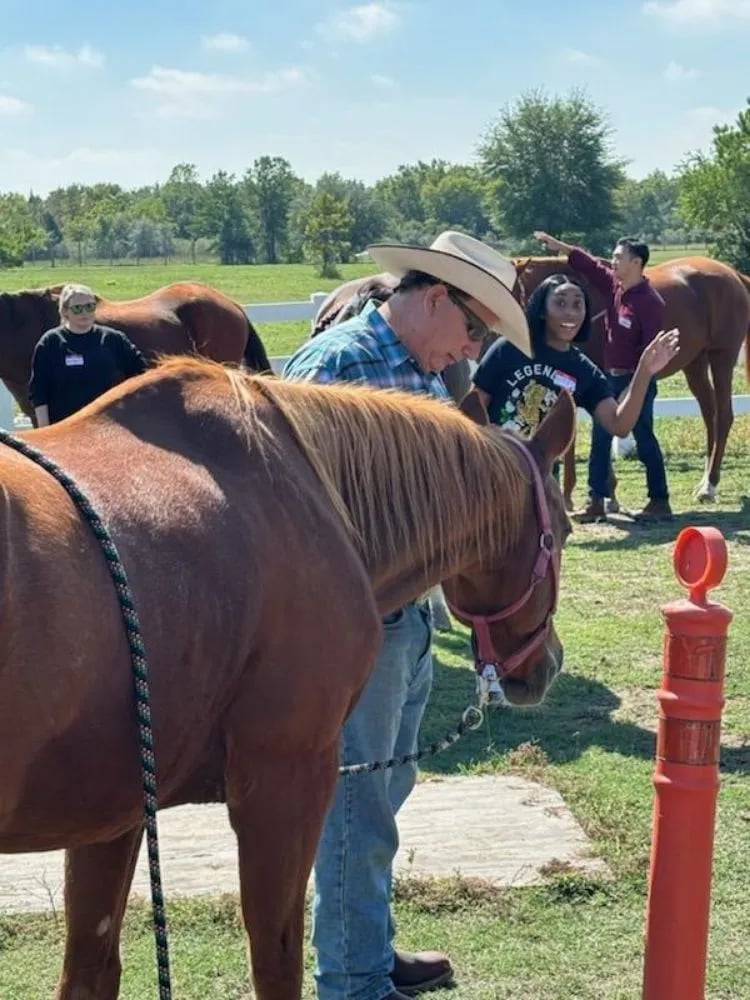 J & K Ranch & Kennel image