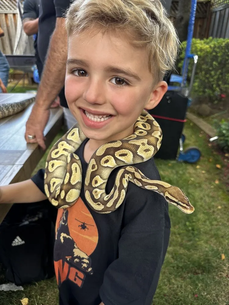 For Goodness Snakes image