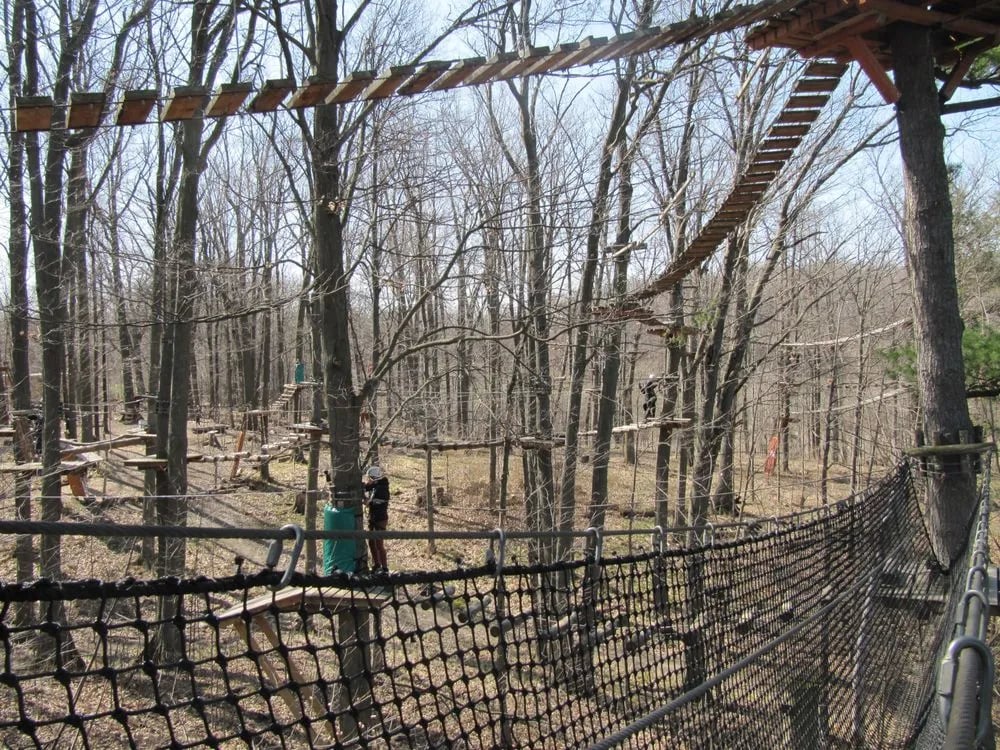 Treetop Trekking image