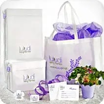 Luludi Living Art image