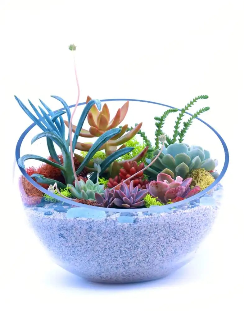 Flourish Workshops image