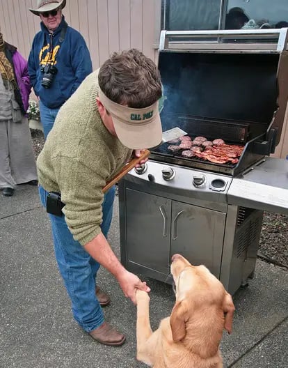 Bay Area Green Tours image