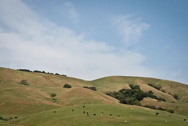 Bay Area Green Tours image