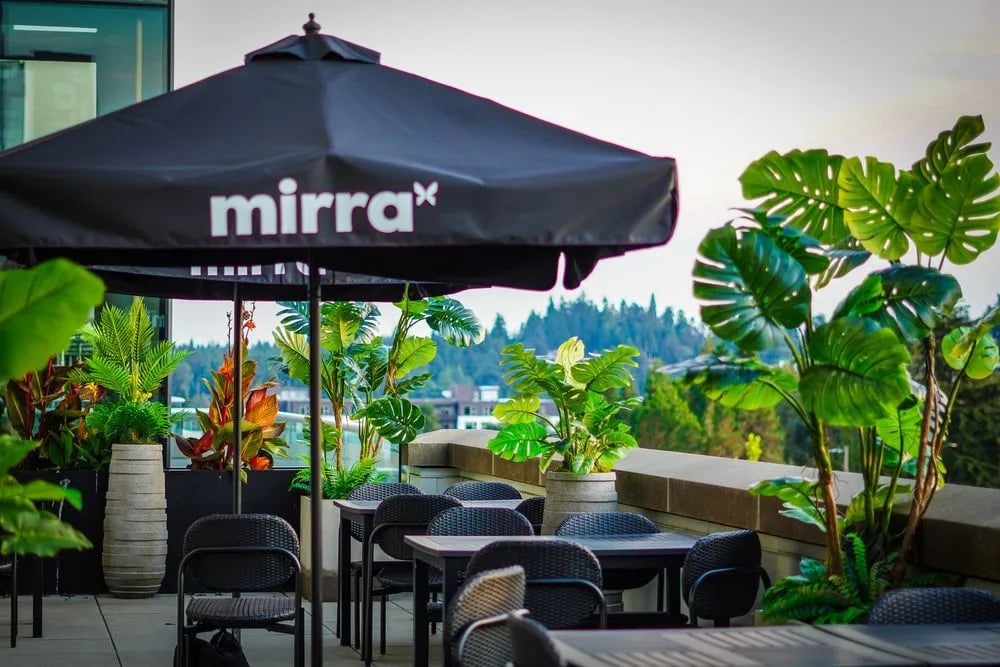 Mirra image