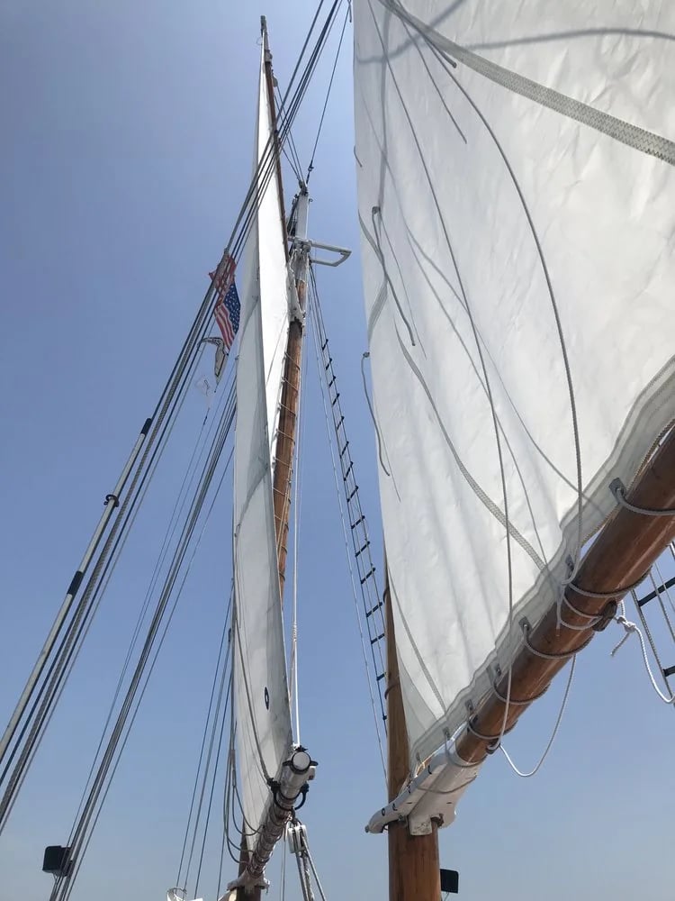 Liberty Fleet of Tall Ships image