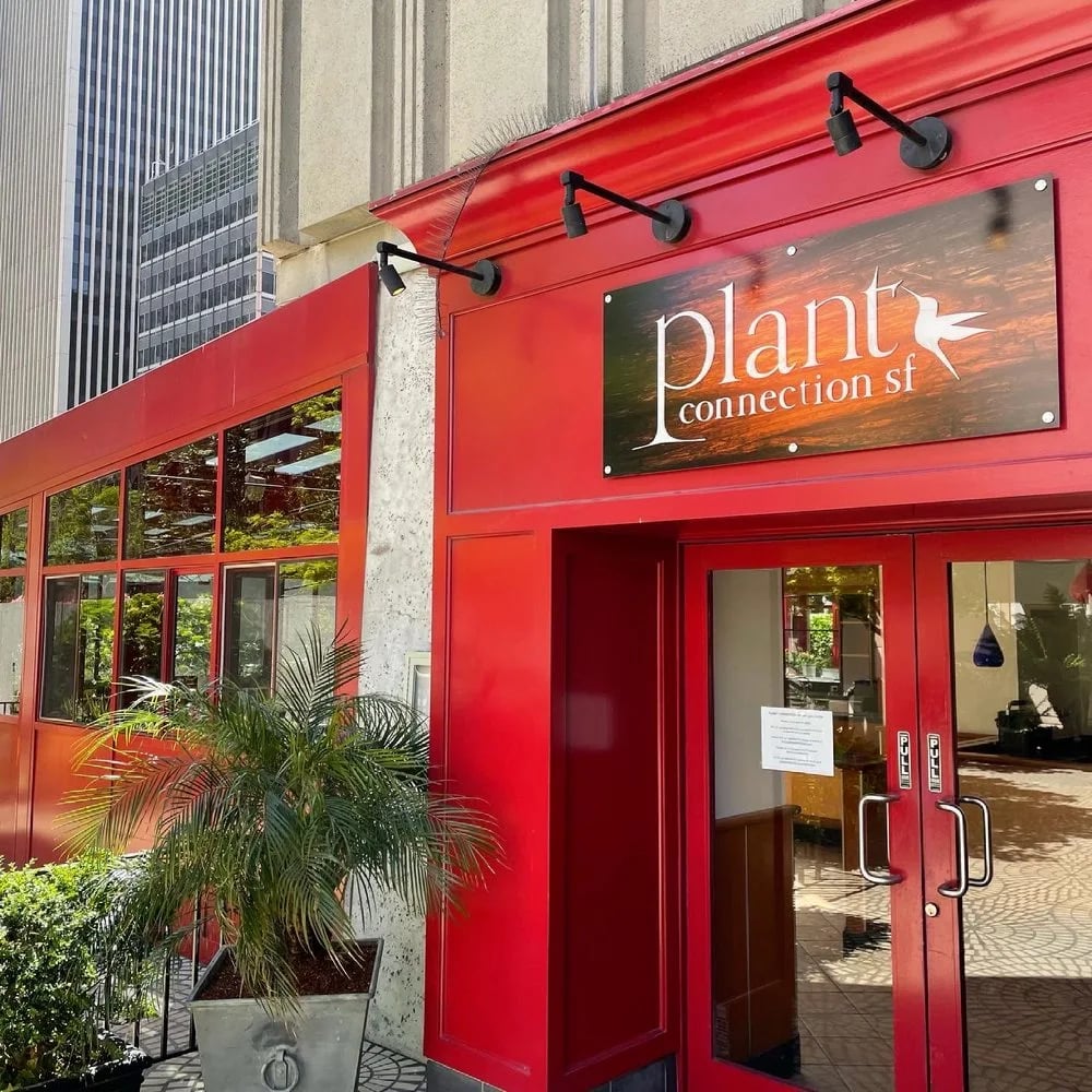 Plant Connection SF image