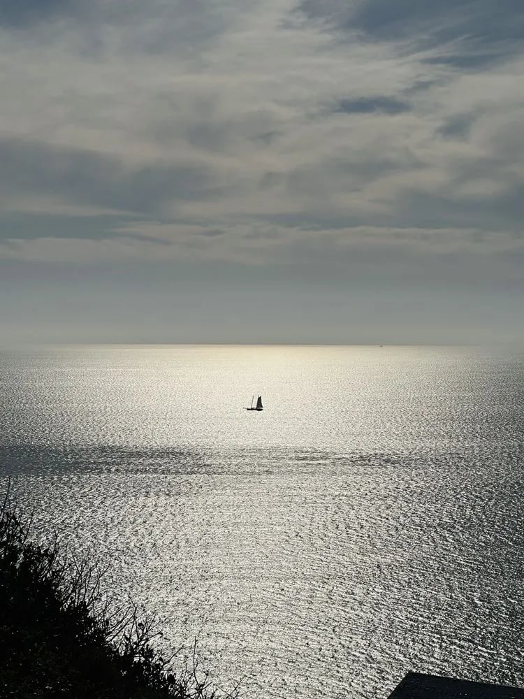 Next Level Sailing image