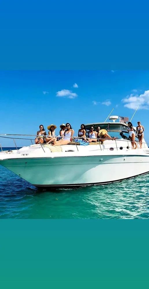 Miami Tours & Water Adventures image