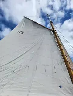 Sail Liberty