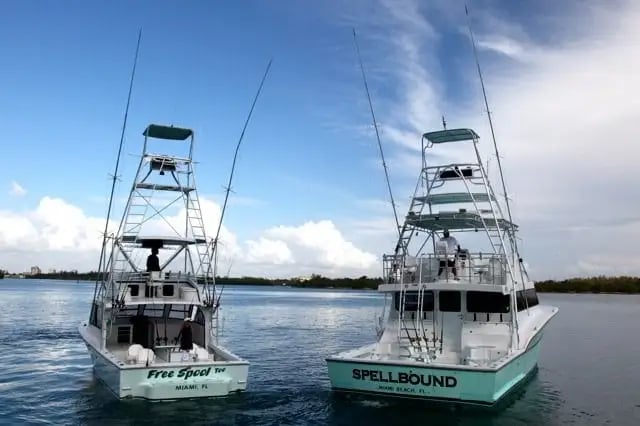Reel Adventure Charters image