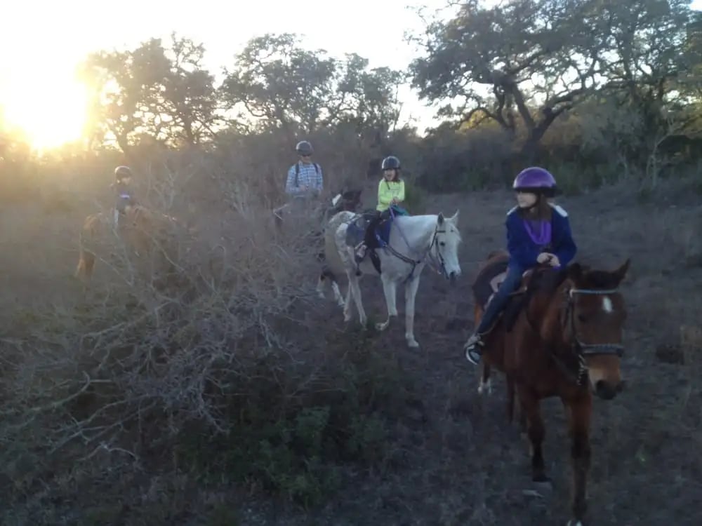Texas Trail Rides image