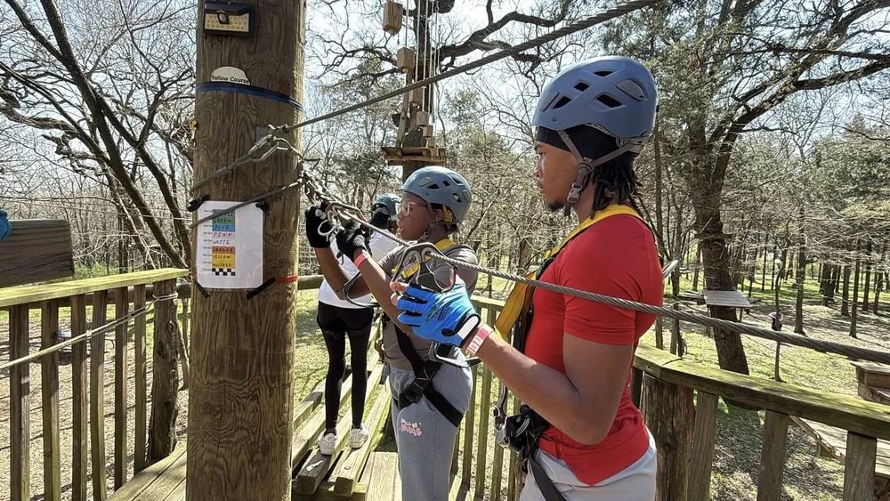 Trinity Forest Adventure Park image