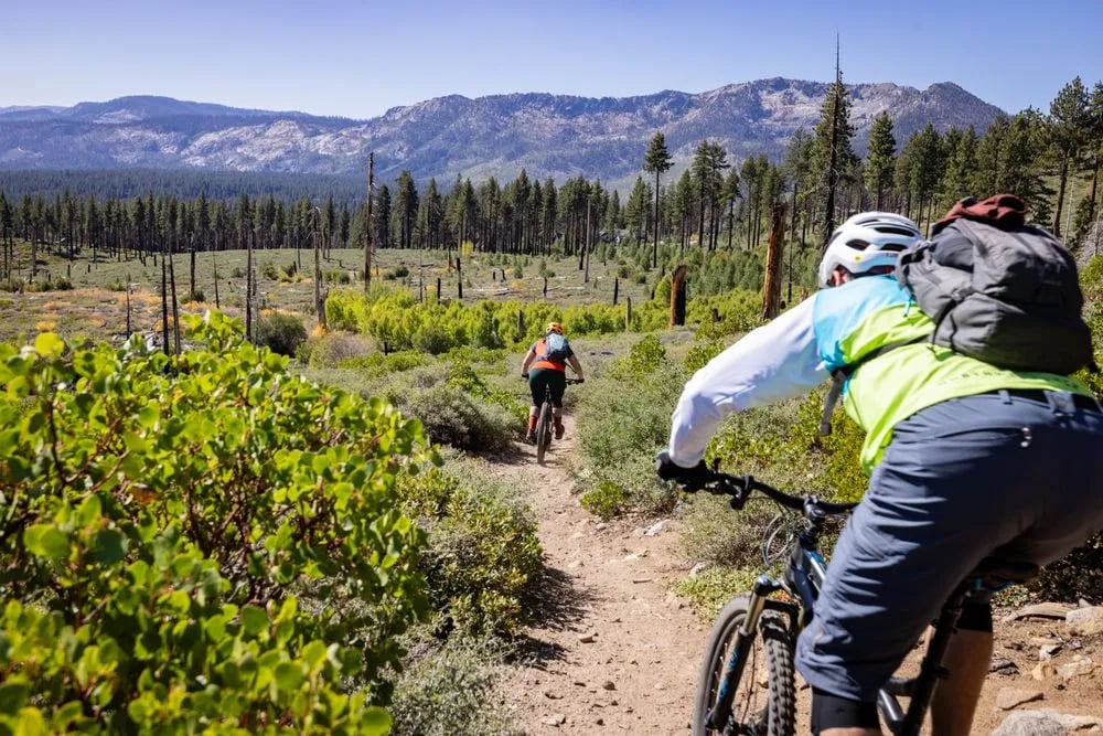 A Singletrack Mind image